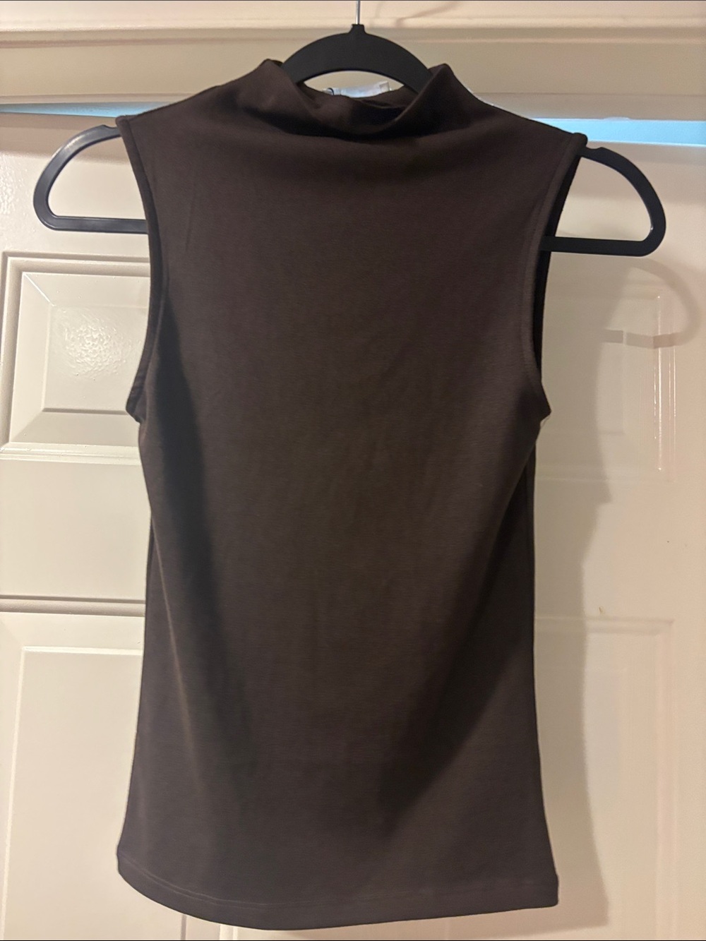 Zara Sleeveless Mock Neck Tank in Dark Brown
